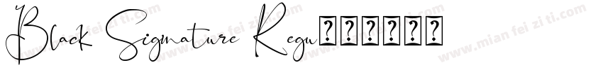 Black Signature Regu字体转换